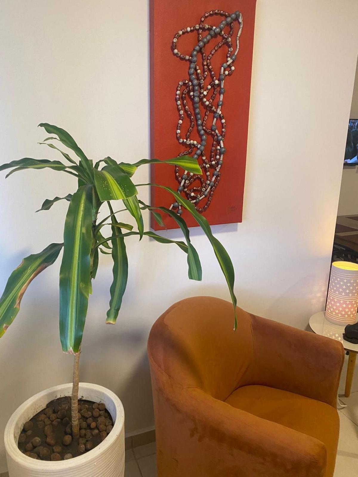 Chã Grande Flat Condominio Topo Da Montanha 508 מראה חיצוני תמונה